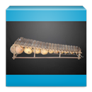 Balafon African Music APK