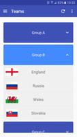 App for Euro Football 2016 تصوير الشاشة 2