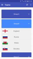 App for Euro Football 2016 截图 2