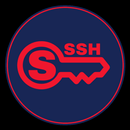 SnowVPN APK