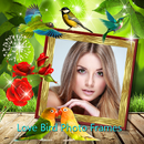 Love Bird Photo Frames APK