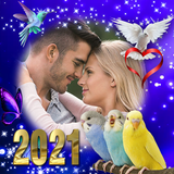 Love Bird Photo Frames biểu tượng