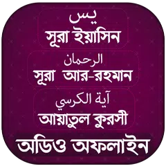 সূরা ইয়াসিন -আর রহমান- আয়াতুল কুরসি (অডিও অফলাইন) APK 下載