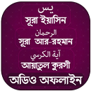 সূরা ইয়াসিন -আর রহমান- আয়াতুল কুরসি (অডিও অফলাইন) APK