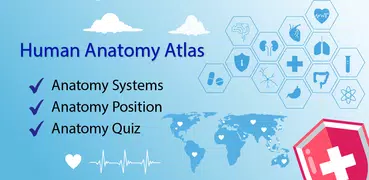 Gray's Anatomy - Anatomy Atlas