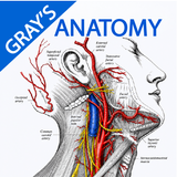 Gray's Anatomy - Anatomy Atlas APK