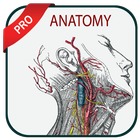 آیکون‌ Gray's Atlas of Anatomy Pro