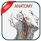 Gray's Atlas of Anatomy Pro icon