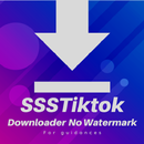 SSSTiktok-Downloader Hints APK