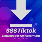 SSSTiktok-Downloader Hints simgesi