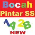 Bocah Pintar SS
