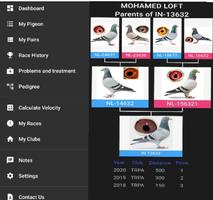 Pigeon Loft โปสเตอร์