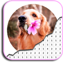 كتاب تلوين الكلب التصوير الفوتوغرافي اللون حسب عدد APK