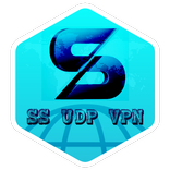 SS UDP VPN