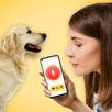 Dog Translator Dog to Human APK