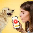 犬語翻訳アプリ: 犬の言葉がわかるアプリ アイコン