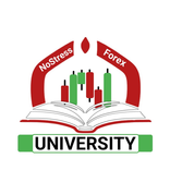 NoStress Forex Academy