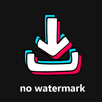 TT Video Downloader - No Wm APK