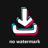 ”TT Video Downloader - No Wm