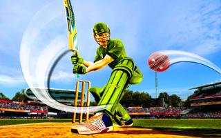 T20 Cricket Sports Game पोस्टर