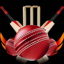 Cricket score 2023 APK