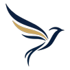 Sania Air APK