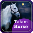 Tatam Horse