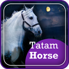 Tatam Horse icône