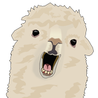 Llama on the road icon