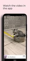 Downloader for TikTok ภาพหน้าจอ 2