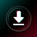 TIK HD Video Downloader APK