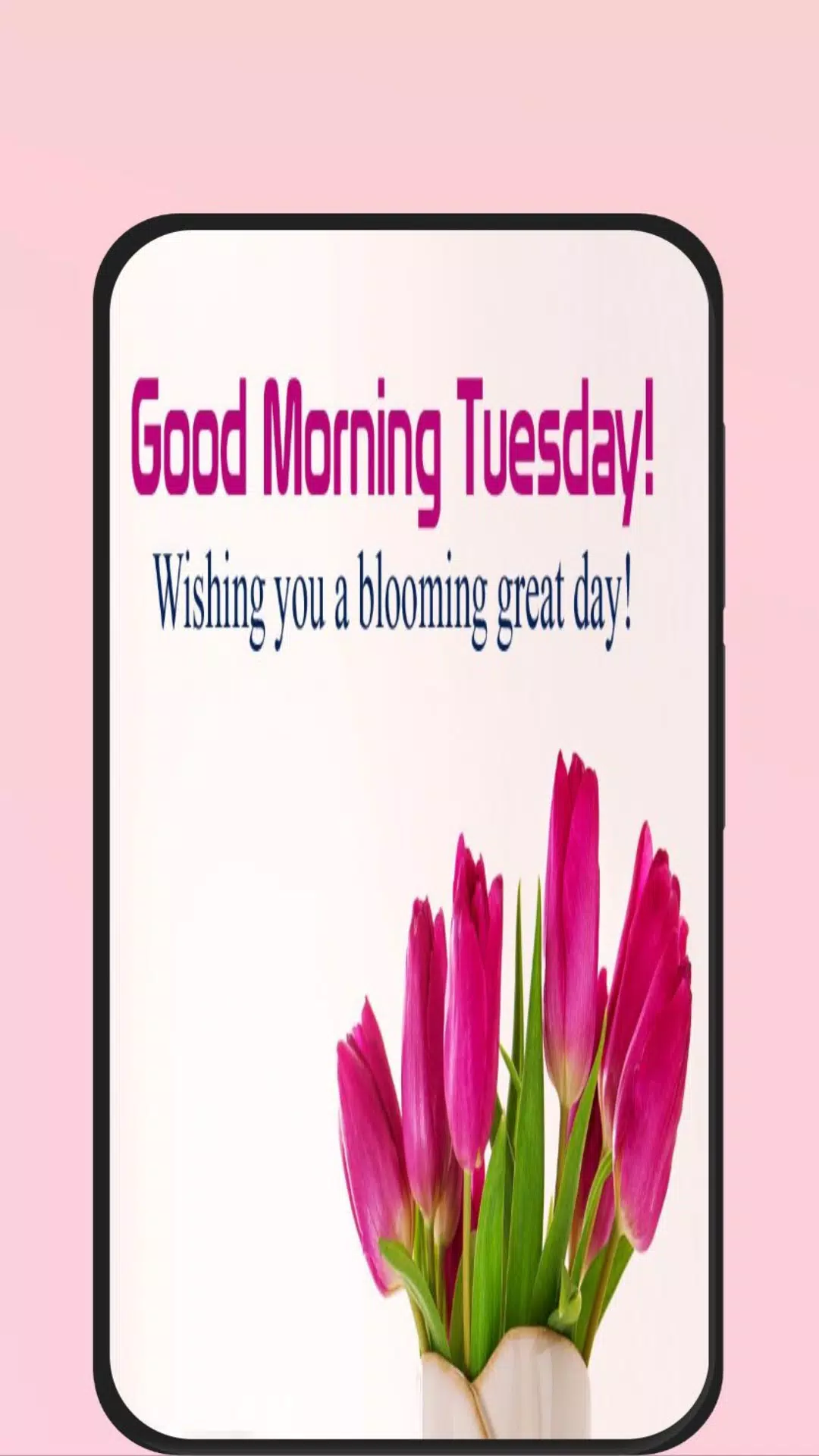 Tuesday morning, Good Morning Happy Tuesday: Wishes, images and quotes for  WhatsApp