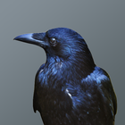 Crows Soundboard ไอคอน