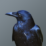 Crows Soundboard icône