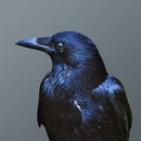 Crows Soundboard APK