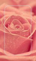 Rose Dp Wallpaper ảnh chụp màn hình 3