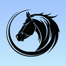 Black Horse Wallpaper APK