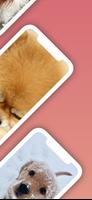 Cute Puppy Wallpaper capture d'écran 1