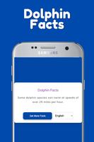 Dolphin App 海报