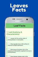 Leaves App imagem de tela 2