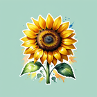 Sunflower App simgesi