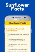 Sunflower App gönderen