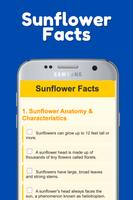 Sunflower App Ekran Görüntüsü 2