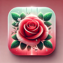 Roses App APK