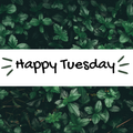 happy tuesday
