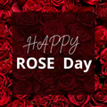 happy rose day