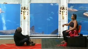 Tempo Afric TV screenshot 3