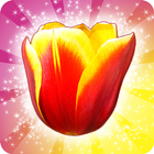 튤립 크러시: Tulip Crush 🌷 아름다운 경기 아이콘