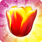 Tulip Crush icon