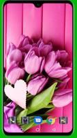 Tulips Wallpaper captura de pantalla 1